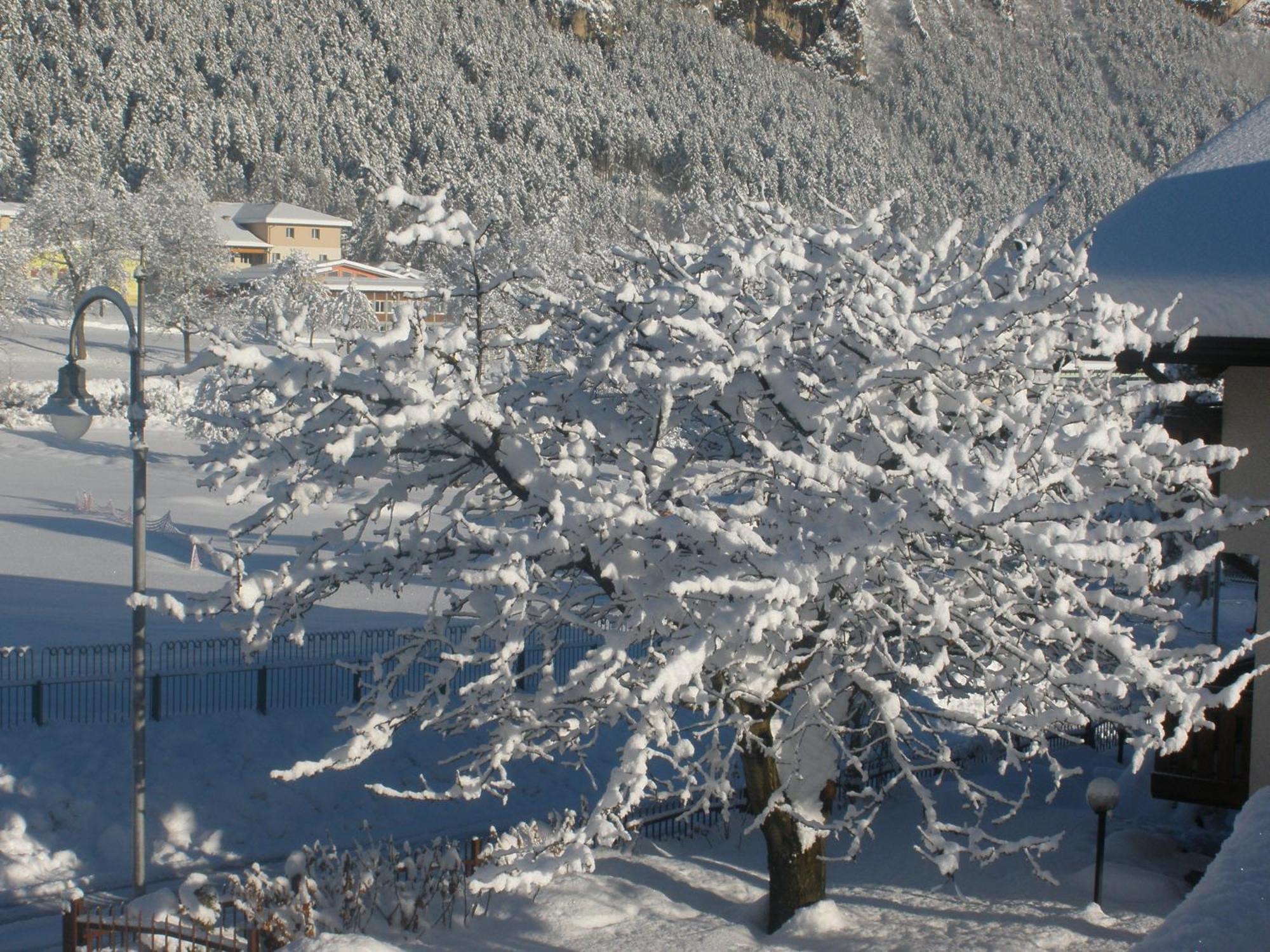 Casa Pallanch Fai della Paganella Buitenkant foto