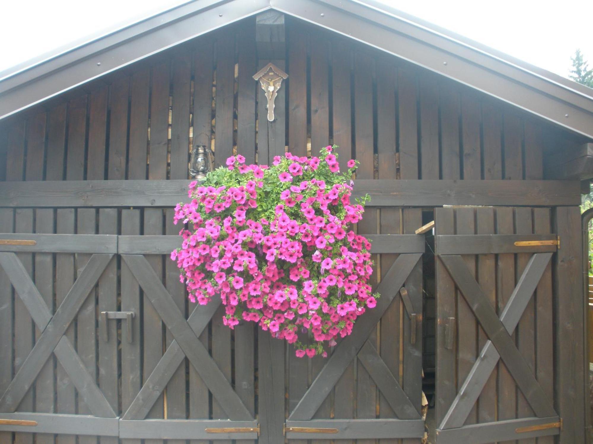 Casa Pallanch Fai della Paganella Buitenkant foto