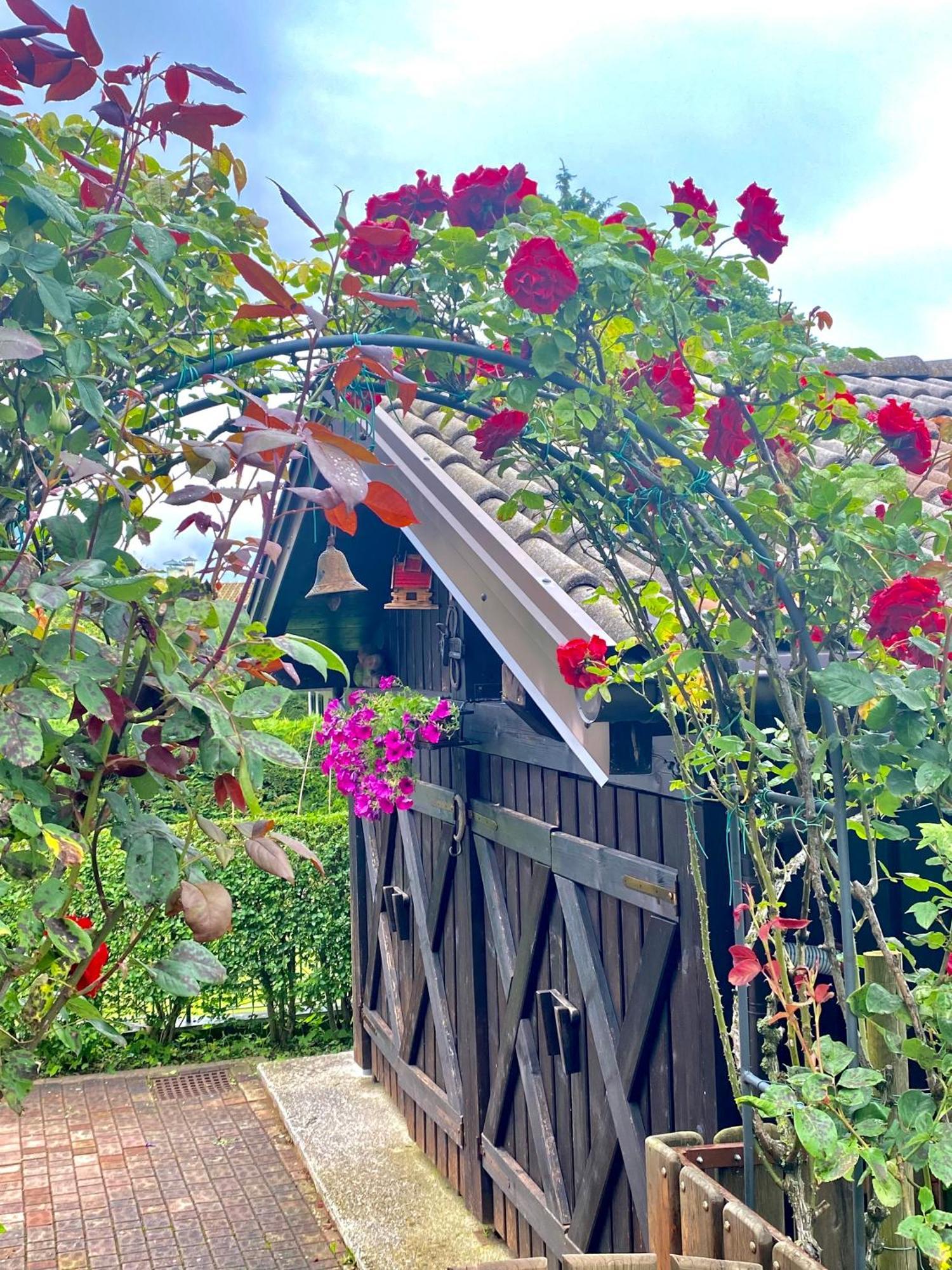 Casa Pallanch Fai della Paganella Buitenkant foto